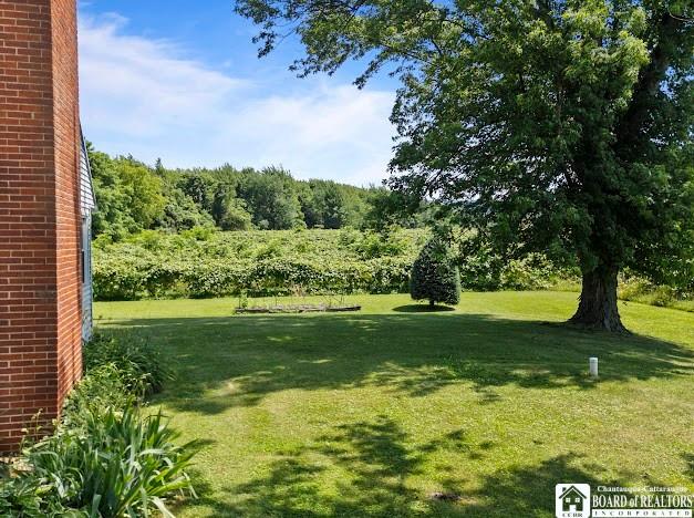 5005 W Main Rd, Pomfret, NY 14063 - view of green lawn