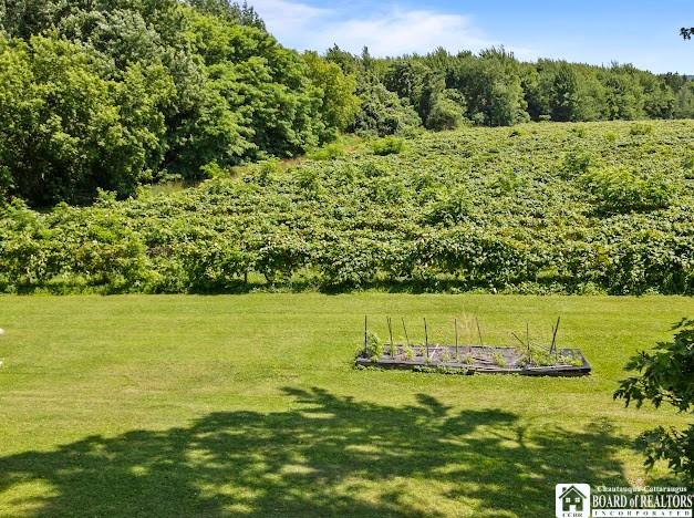 5005 W Main Rd, Pomfret, NY 14063 - view of grassy yard with a vegetable garden