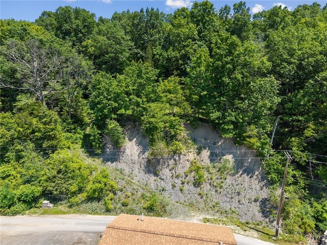 1659 Honoco Rd, Ledyard, NY 13026 - drone / aerial view