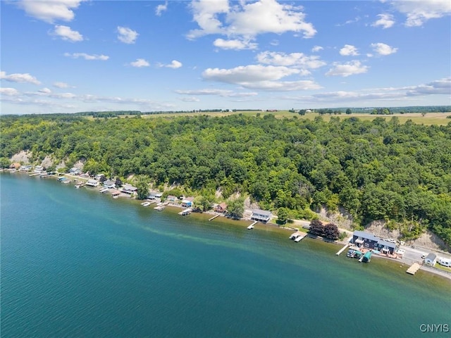 1659 Honoco Rd, Ledyard, NY 13026 - drone / aerial view of a nearby body of water