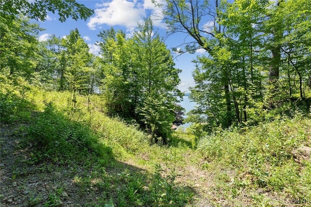 1659 Honoco Rd, Ledyard, NY 13026 - view of undeveloped land