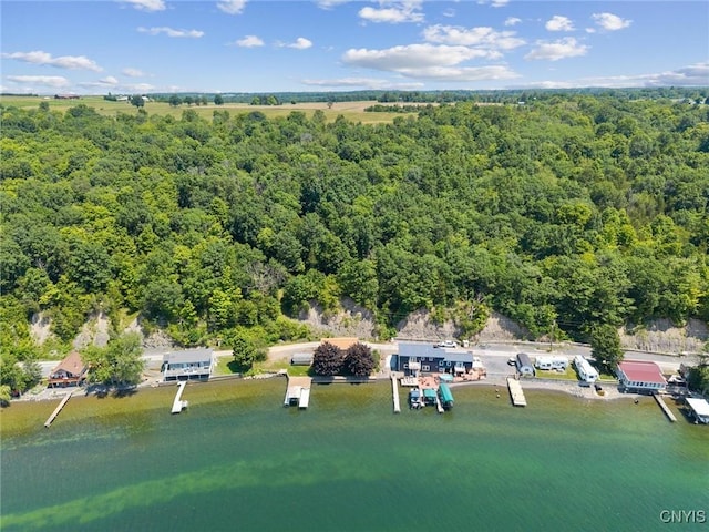 1659 Honoco Rd, Ledyard, NY 13026 - bird's eye view of a forest and a nearby body of water