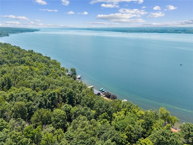 1659 Honoco Rd, Ledyard, NY 13026 - bird's eye view of a nearby body of water and a forest