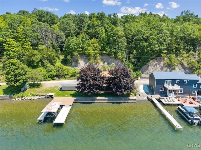 1659 Honoco Rd, Ledyard, NY 13026 - dock with a water view and a forest view