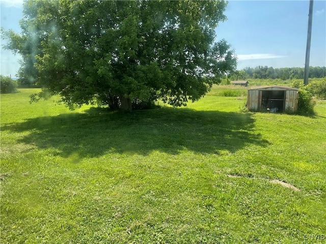17106 State Route 3, Hounsfield, NY 13601 - view of grassy yard with an outbuilding