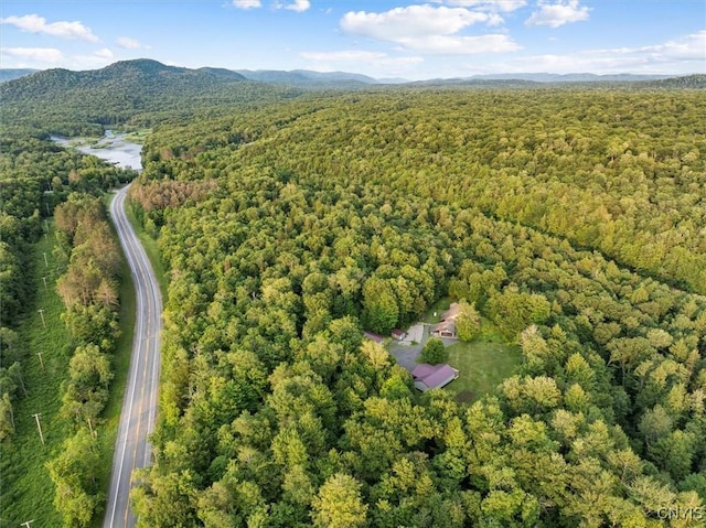 4970 State Route 8, Ohio, NY 13324 - view of property location featuring mountains