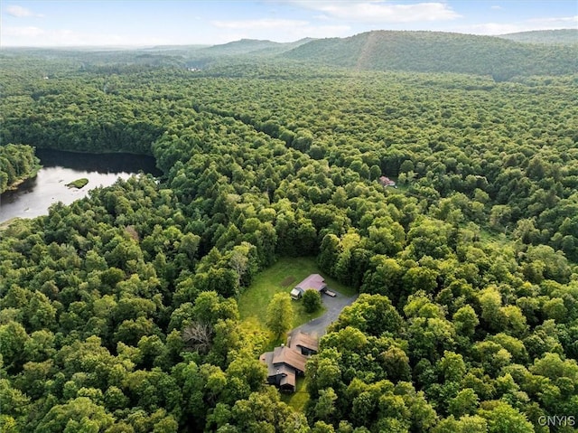 4970 State Route 8, Ohio, NY 13324 - bird's eye view of a forest and a mountain backdrop
