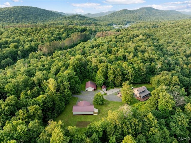 4970 State Route 8, Ohio, NY 13324 - aerial view of property's location with a forest and a mountain backdrop