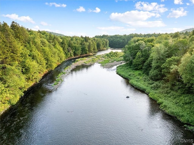 4970 State Route 8, Ohio, NY 13324 - drone / aerial view of a heavily wooded area