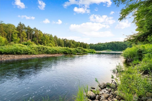 4970 State Route 8, Ohio, NY 13324 - water view featuring a forest
