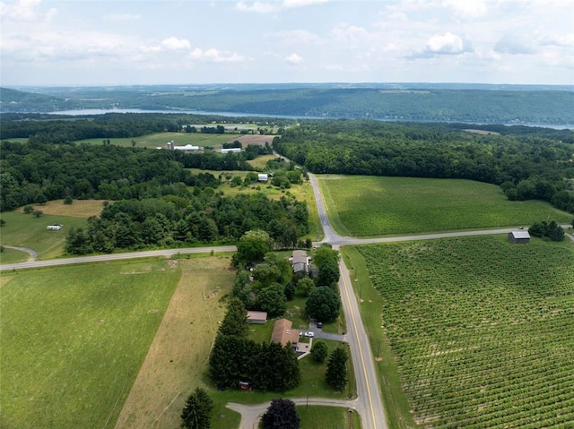 9447 County Route 75, Pulteney, NY 14418 - overview of rural landscape with rows of crops