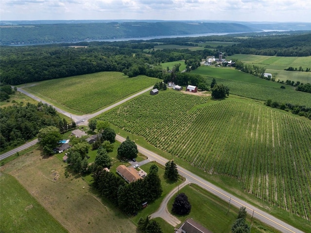 9447 County Route 75, Pulteney, NY 14418 - aerial view of property's location with rural landscape and farmland