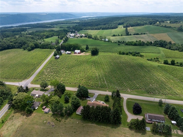 9447 County Route 75, Pulteney, NY 14418 - aerial view of property and surrounding area featuring large plots for crops and rural landscape