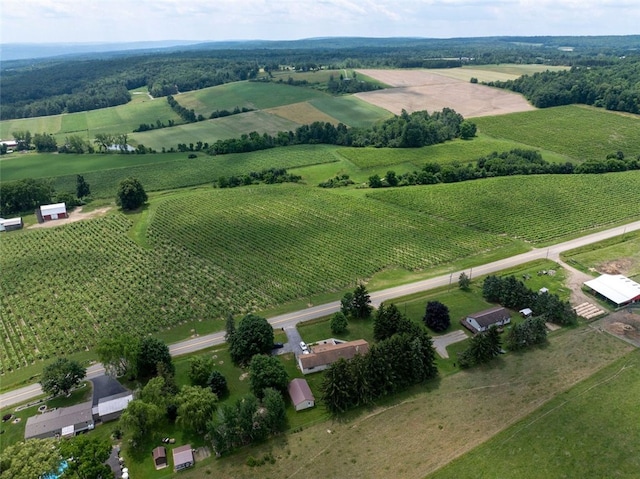 9447 County Route 75, Pulteney, NY 14418 - view of rural area featuring extensive farmland
