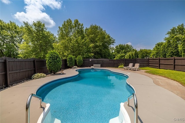 110 Clark Cir, Lenox, NY 13032 - view of swimming pool featuring a fenced backyard, a patio area, and view of wooded area
