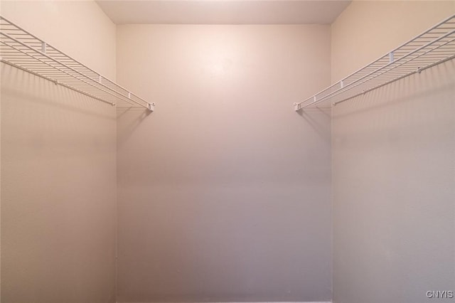 110 Clark Cir, Lenox, NY 13032 - view of walk in closet