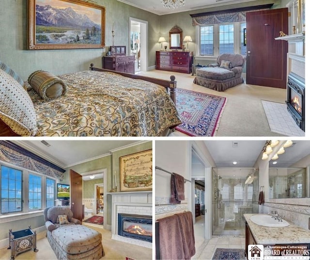 10 Elm Ln, Chautauqua, NY 14722 - view of a document with a collage of images