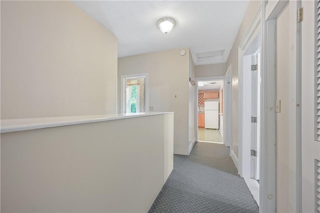 31 Cedar St, Oneonta, NY 13820 - photo 36