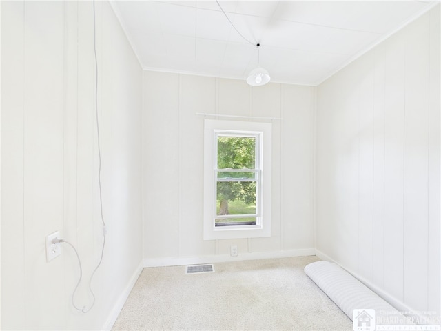 1683 Haskell Rd, Portville, NY 14760 - spare room featuring carpet and ornamental molding