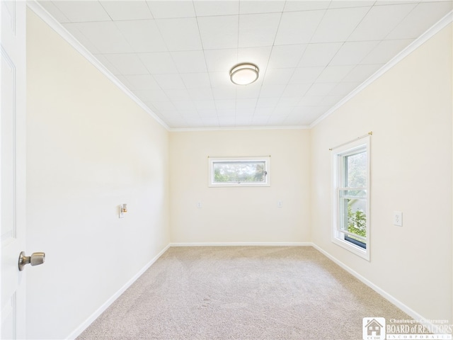 1683 Haskell Rd, Portville, NY 14760 - spare room featuring ornamental molding and light colored carpet