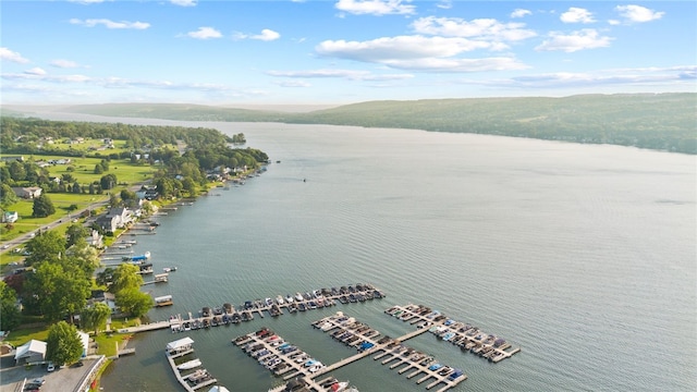114-116 Main St Unit 114, Milo, NY 14527 - bird's eye view of a nearby body of water and a marina