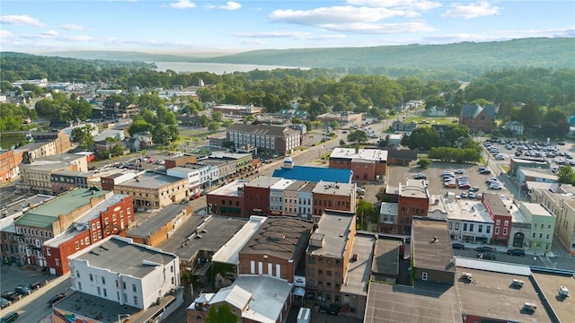 114-116 Main St Unit 114, Milo, NY 14527 - bird's eye view