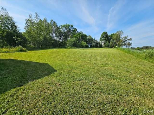 7131 State Route 8, Deerfield, NY 13502 - view of green lawn