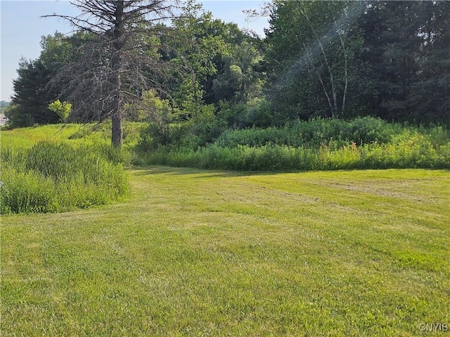 7131 State Route 8, Deerfield, NY 13502 - view of green lawn