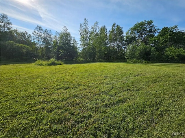 7131 State Route 8, Deerfield, NY 13502 - view of grassy yard