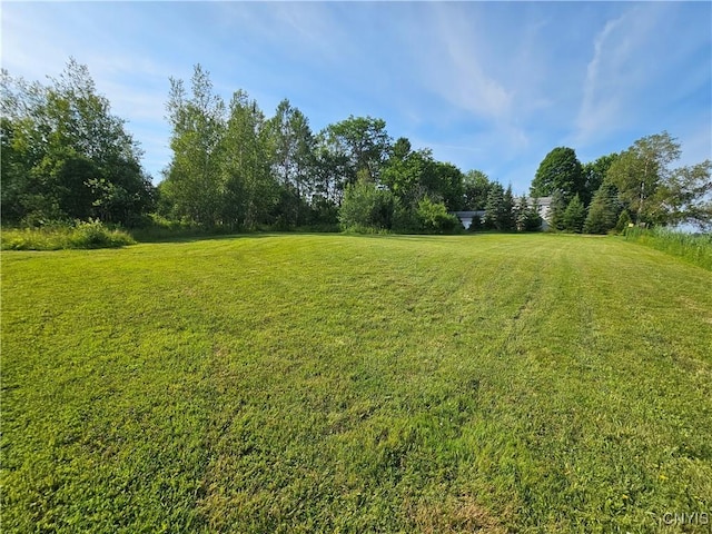 7131 State Route 8, Deerfield, NY 13502 - view of grassy yard