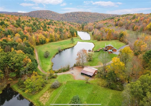 734 Post Rd, Franklin, NY 13775 - bird's eye view of a water and mountain view and a forest