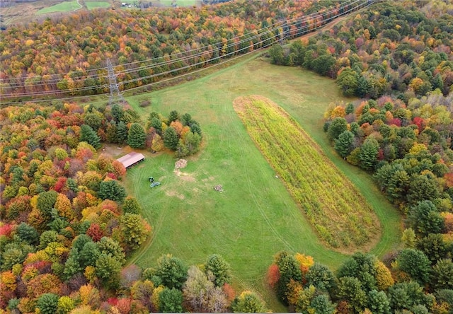 734 Post Rd, Franklin, NY 13775 - overview of rural landscape