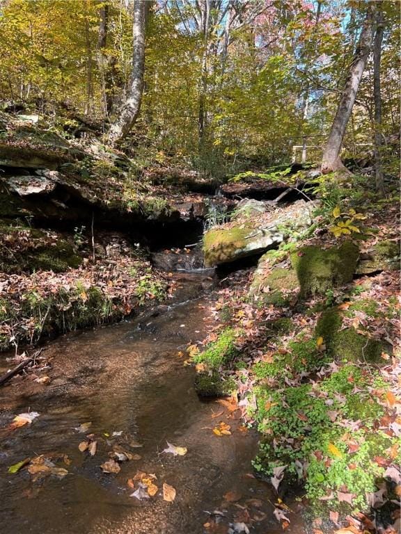 734 Post Rd, Franklin, NY 13775 - view of undeveloped land