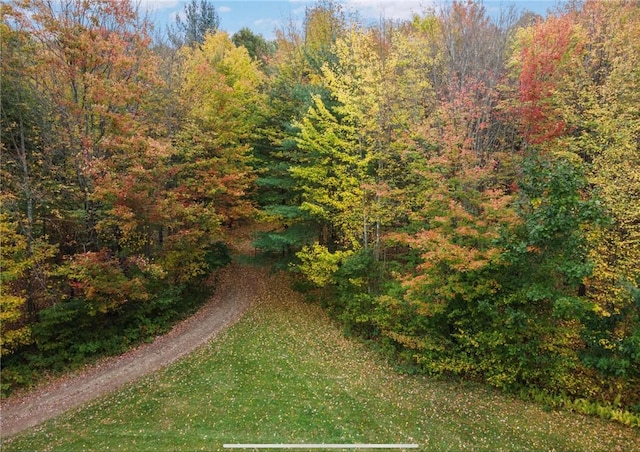 734 Post Rd, Franklin, NY 13775 - view of yard with a wooded view