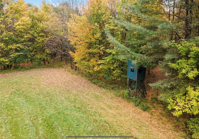 734 Post Rd, Franklin, NY 13775 - view of grassy yard with a forest view and an outbuilding