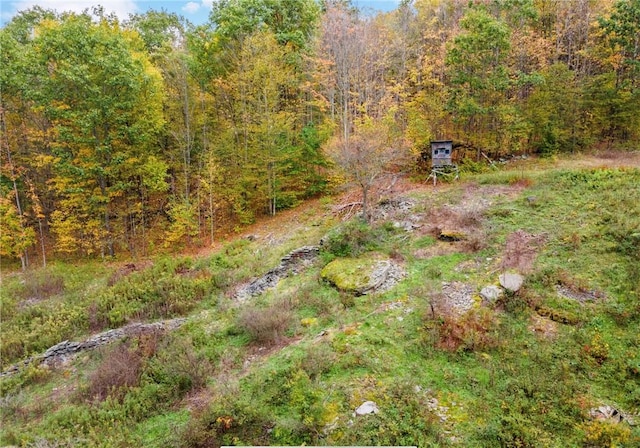 734 Post Rd, Franklin, NY 13775 - view of yard with a view of trees
