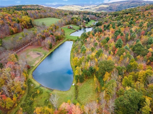 734 Post Rd, Franklin, NY 13775 - view of property location with a water and mountain view