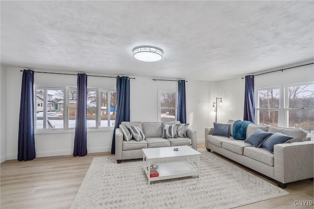 3564 Swartout Rd, Owasco, NY 13021 - living room with healthy amount of natural light and light wood-style flooring