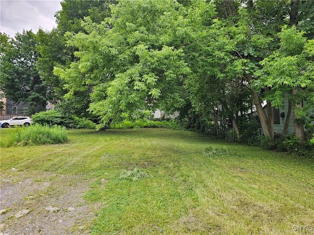 717 Oswego St, Utica, NY 13502 - view of grassy yard