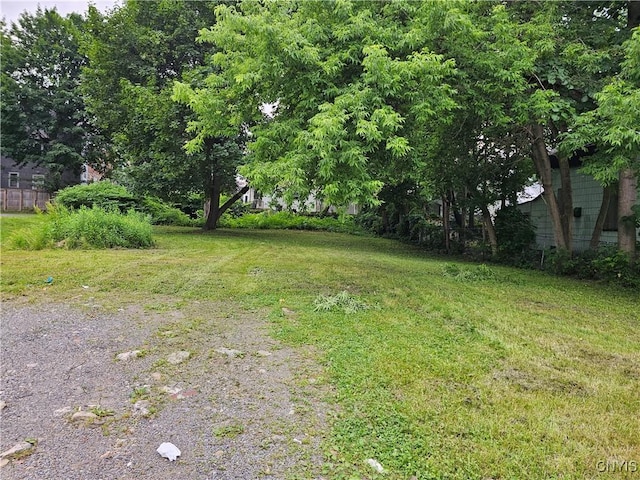 717 Oswego St, Utica, NY 13502 - view of green lawn