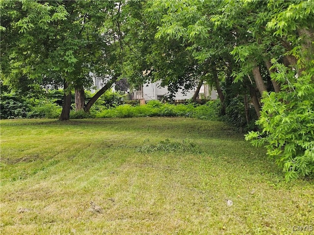 717 Oswego St, Utica, NY 13502 - view of green lawn