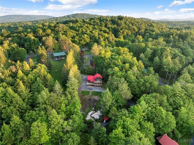 1414 Big Moose Rd, Webb, NY 13331 - photo 5