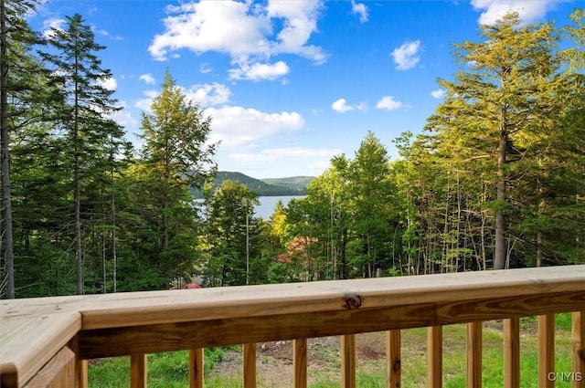 1414 Big Moose Rd, Webb, NY 13331 - photo 41