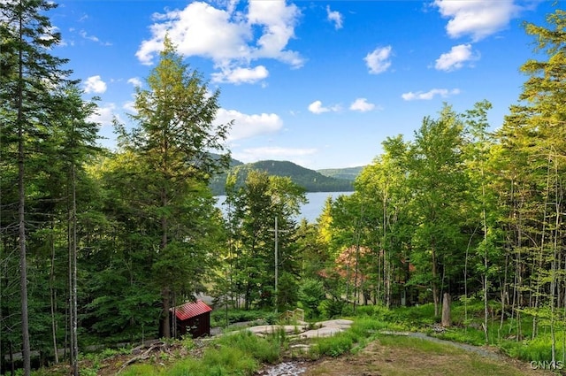 1414 Big Moose Rd, Webb, NY 13331 - photo 42