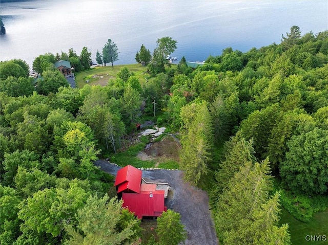 1414 Big Moose Rd, Webb, NY 13331 - photo 43