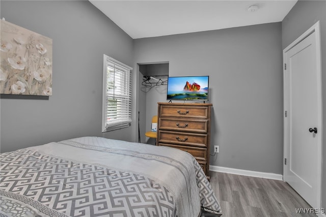 245 Tacoma Ave, Buffalo, NY 14216 - bedroom featuring wood finished floors and a closet