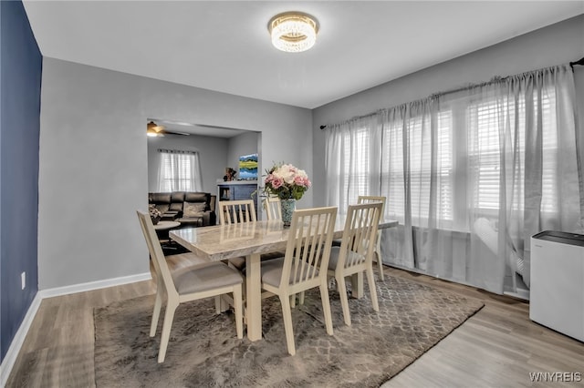 245 Tacoma Ave, Buffalo, NY 14216 - dining space with wood finished floors and a ceiling fan