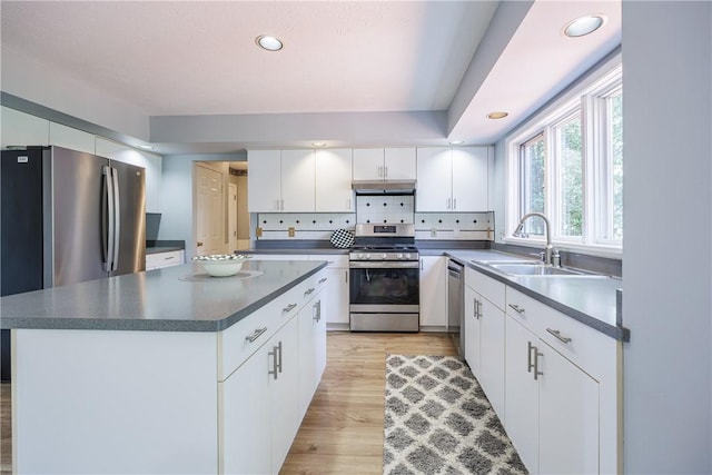 47 Edenfield Rd, Penfield, NY 14526 - kitchen with appliances with stainless steel finishes, dark countertops, under cabinet range hood, light wood-style floors, and white cabinets
