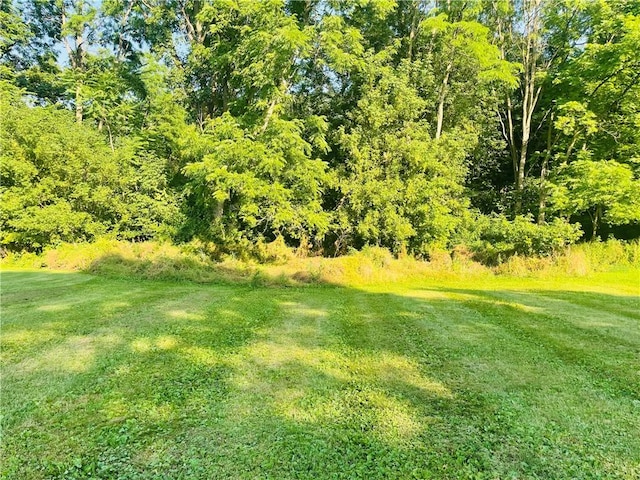 176 S Main St, Naples, NY 14512 - photo 34
