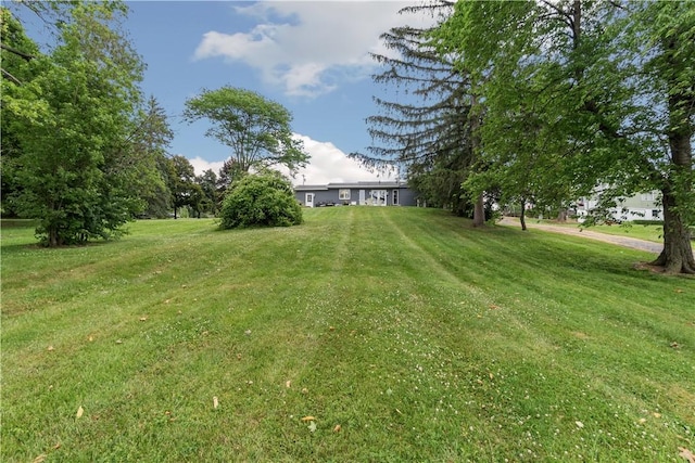 82 Rt 54 E Lake Rd, Milo, NY 14527 - view of green lawn